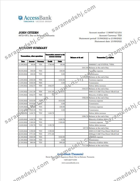 Tanzania Access bank statement, Excel and PDF template
